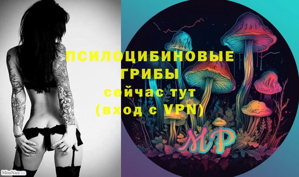 прущий лед Нягань
