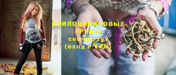 apvp Няндома