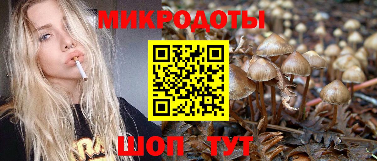 Россошь  Псилоцибиновые грибы Cubensis  Галлюциногенные грибы Cubensis  Вход с VPN 